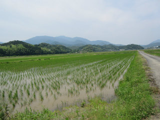 20170610.jpg
