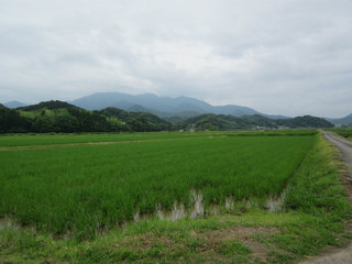 20170624.jpg