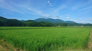 20170717.jpg