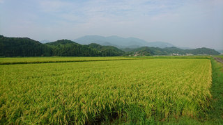 20170809.jpg
