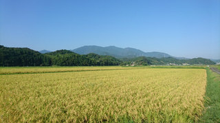 20170819.jpg