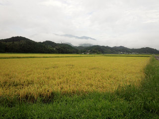 DSC_0034.jpg
