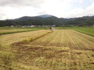 DSC_0111.jpg