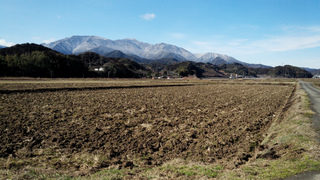 DSC_0156.jpg