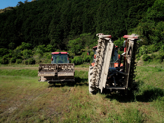 DSC_0218.jpg