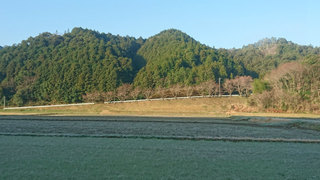 DSC_0415.jpg