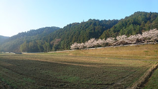 DSC_0433.jpg