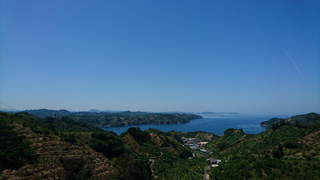 DSC_0481.jpg