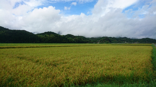 DSC_0565.jpg