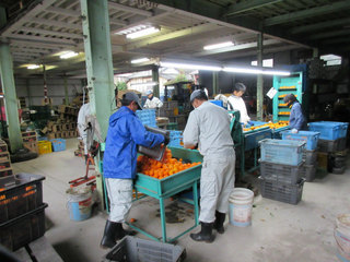 IMG_0351.jpg
