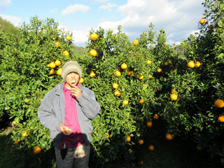IMG_0462.jpg