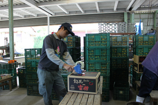 IMG_0591ss.jpg