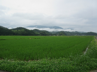 IMG_0704.jpg