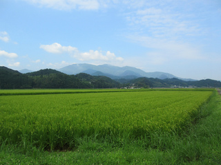 IMG_0736.jpg