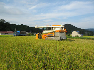 IMG_0836.jpg
