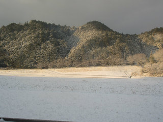 IMG_1073.jpg