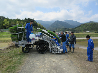 IMG_1175.jpg