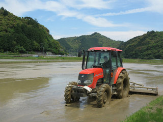IMG_1241.jpg