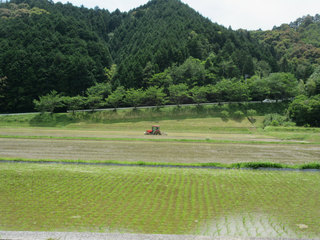 IMG_1245.jpg