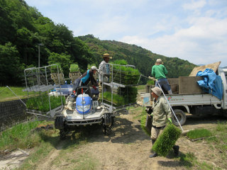 IMG_1254.jpg