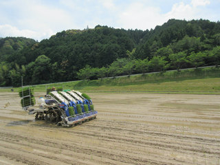 IMG_1279.jpg