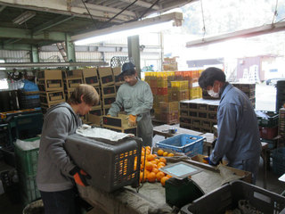 IMG_1683.jpg