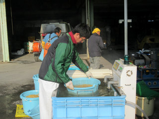 IMG_1686.jpg