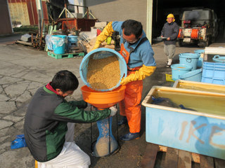 IMG_1690.jpg