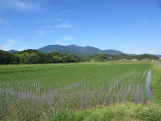 IMG_1926.jpg