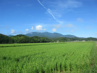 IMG_1950.jpg