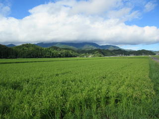 IMG_1954.jpg