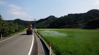 IMG_20130727_151530.jpg