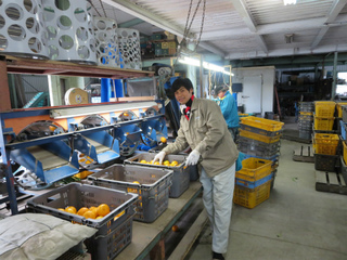 IMG_2813.jpg