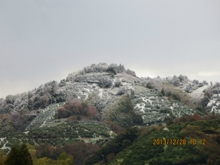 IMG_3067.jpg