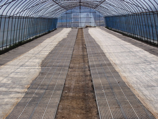 P1010209.jpg