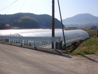 P1010223.jpg