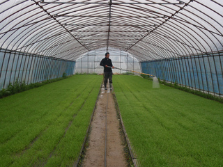P1010233.jpg