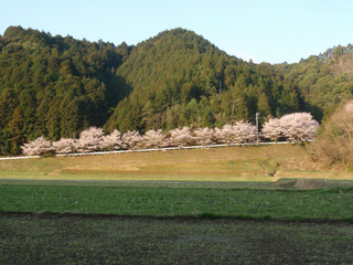 P1010235.jpg