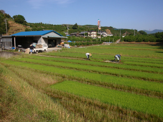 P1010277.jpg