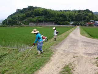 P1010291.jpg