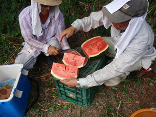 P1010314.jpg