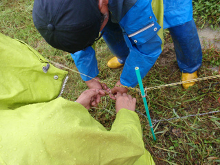 P1010343.jpg