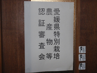 P1010353.jpg