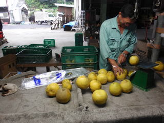 P1010365.jpg