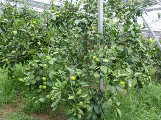 P1010427.jpg