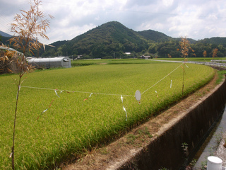 P8030570.jpg