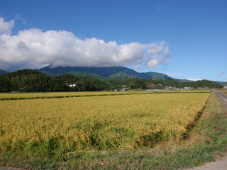 P8210594.jpg