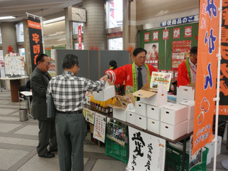 PB070010ss.jpg