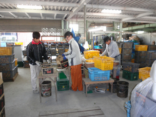 PB160016ss.jpg