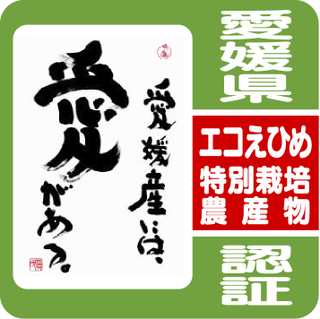 ekoehime.png